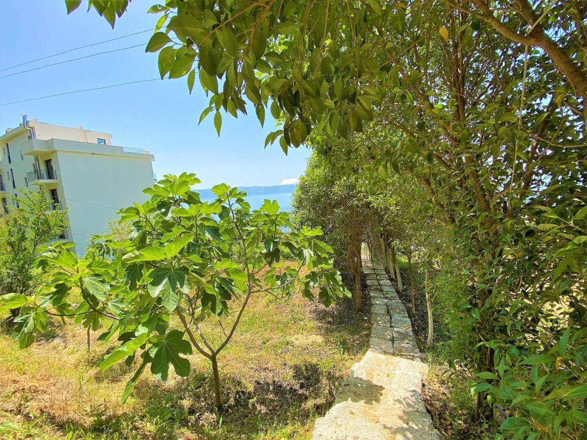 Ramo'S Green Beachside Retreat - Cozy 2 Bedroom Home Влёра Экстерьер фото